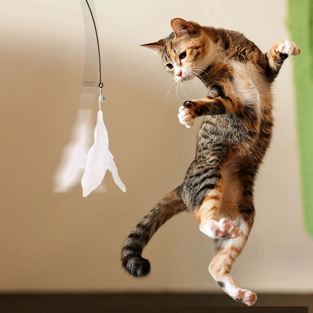 Interactive Cat Teaser Wand – Feather & Bell