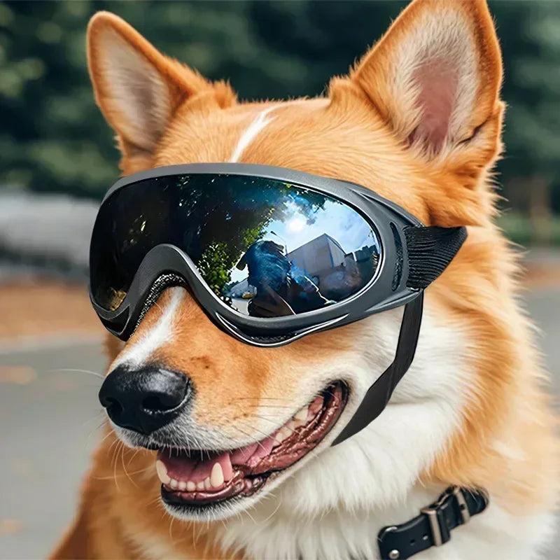 UV Protection Dog Goggles – Adjustable Outdoor Eyewear