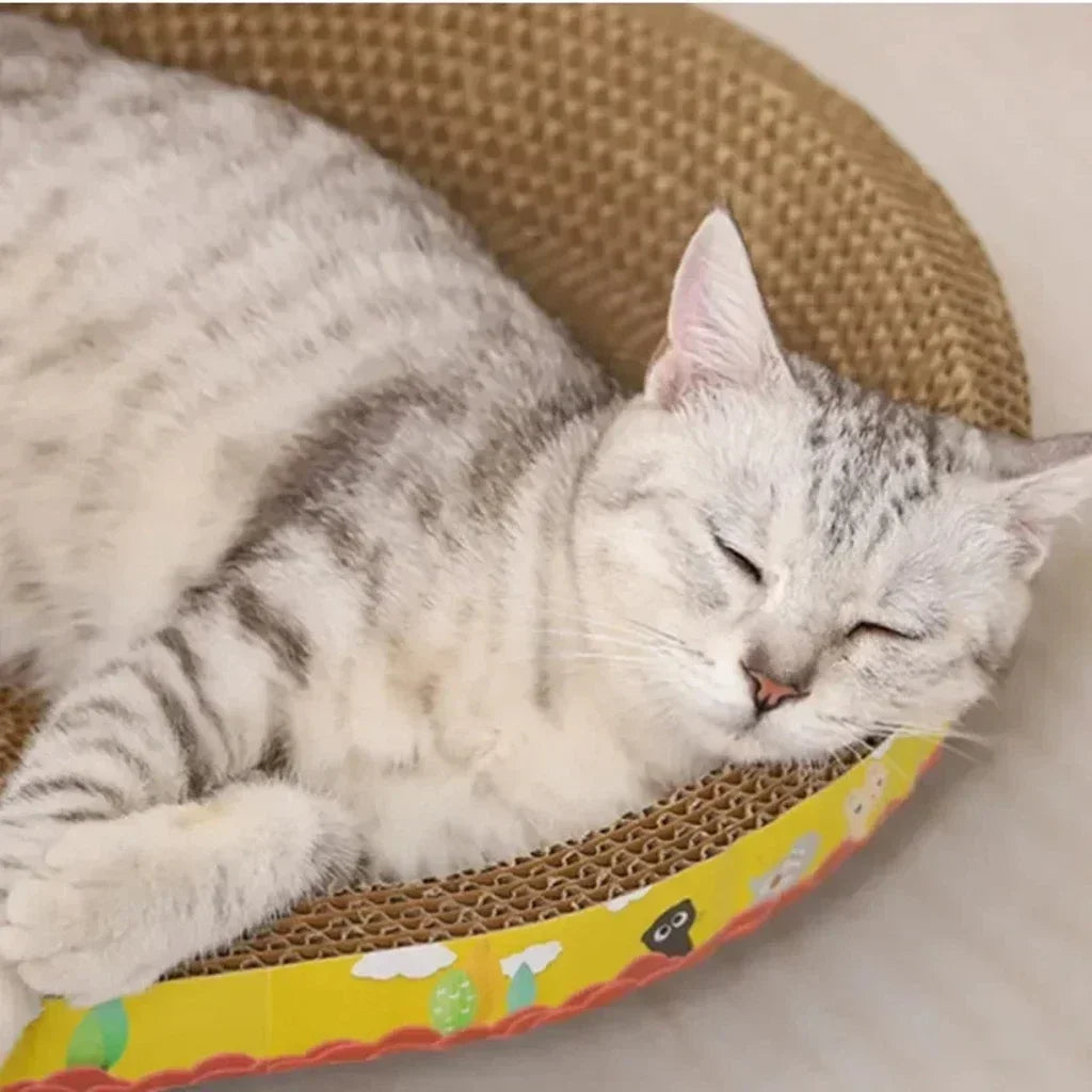 Corrugated Cat Scratching Board
